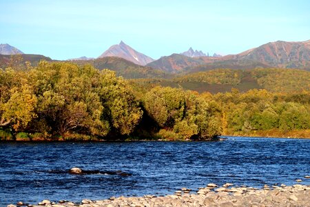 Forest fall colors landscape photo