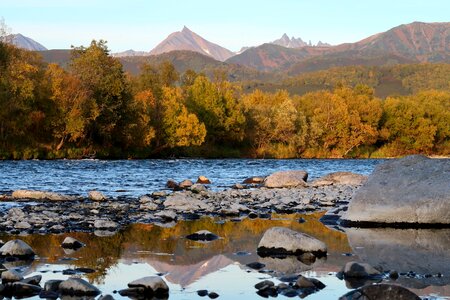 Forest fall colors landscape photo