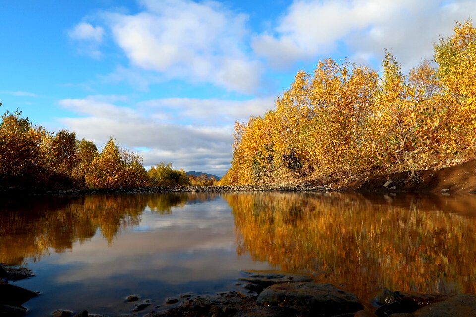Forest reflection clouds