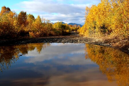 Forest reflection clouds photo