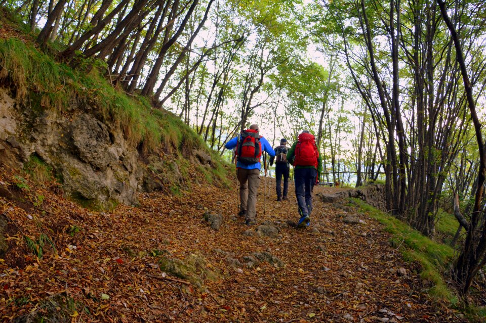 Trail mountain walking with sticks