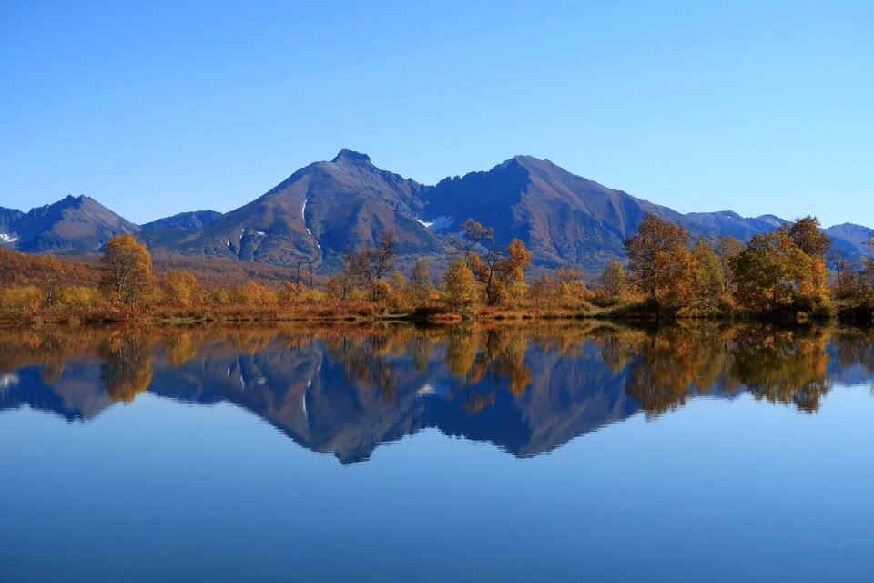 Reflection forest golden autumn