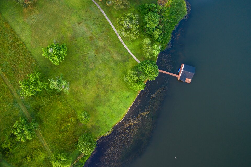 Water green field