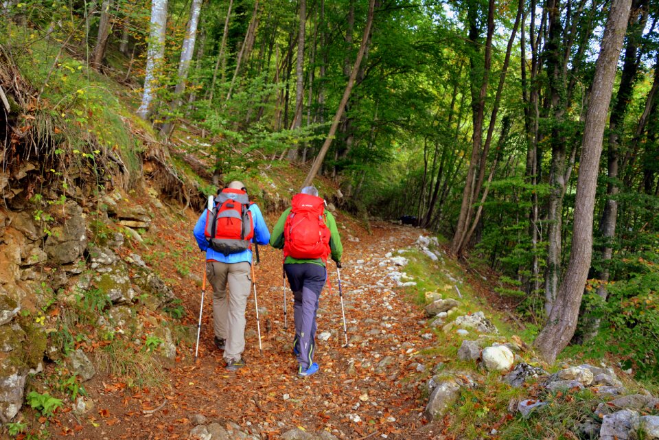 Trail mountain walking with sticks
