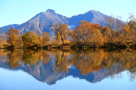 Reflection forest golden autumn photo