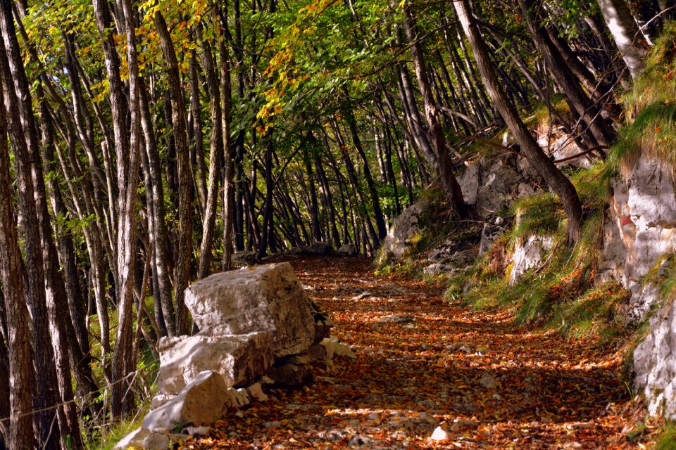 Trail mountain the european path