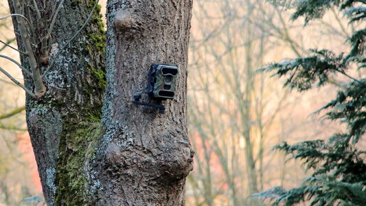 Camera wildlife camera monitoring