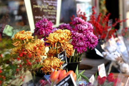 Flowers bouquet grocery
