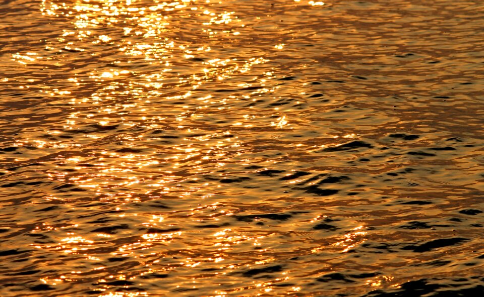 Sea wave sunlight photo