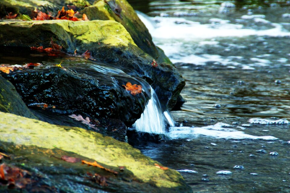 Leaves landscape rocks