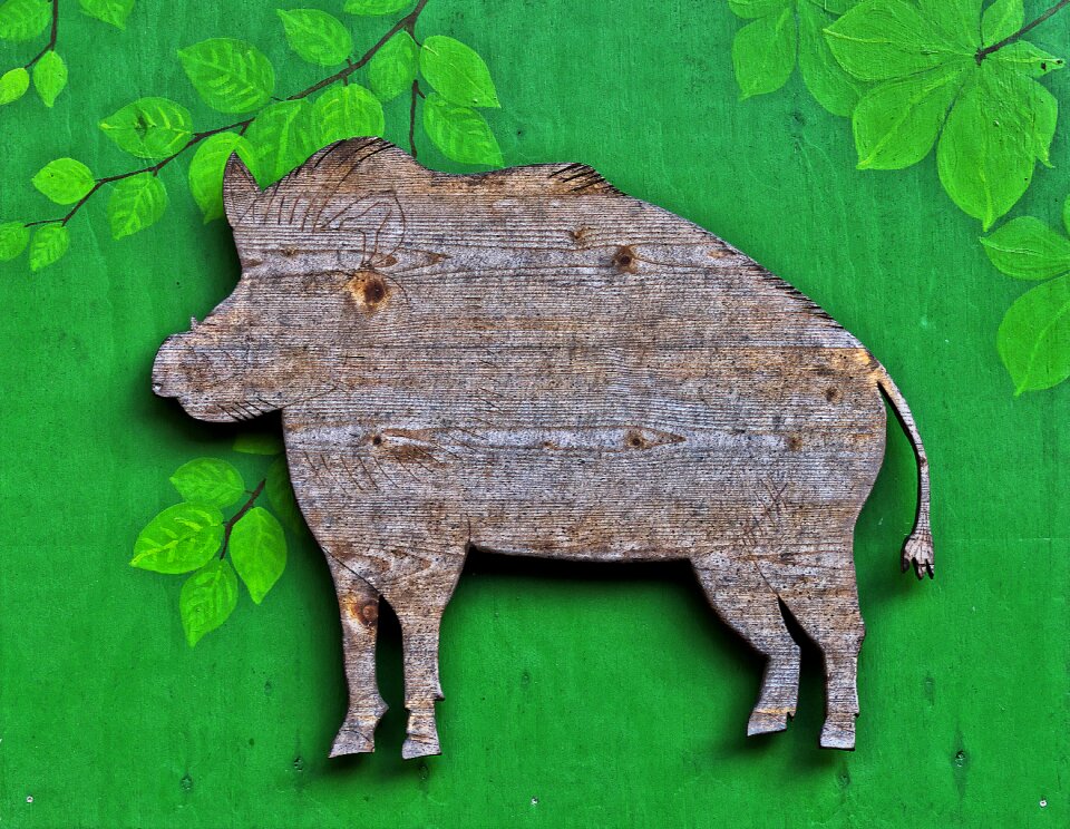 Wood animal cut out