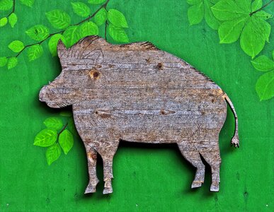 Wood animal cut out photo