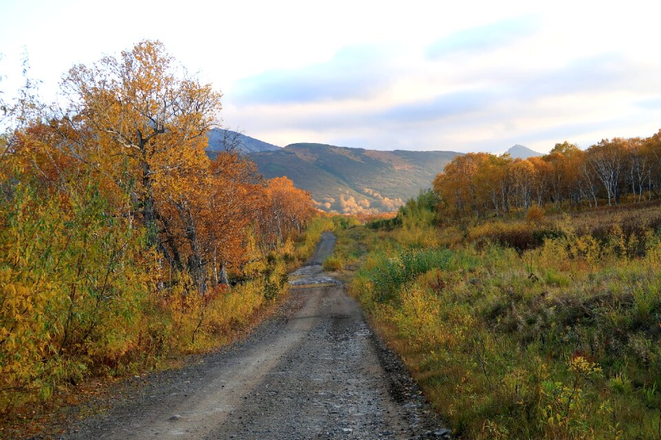 Road fall colors autumn grass
