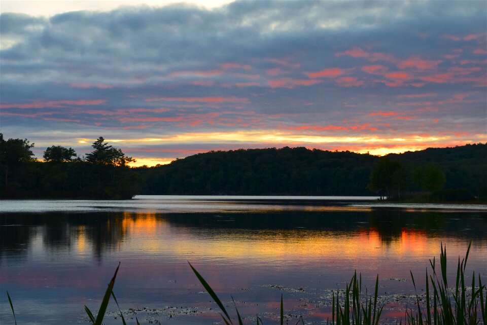 Forest water sky photo