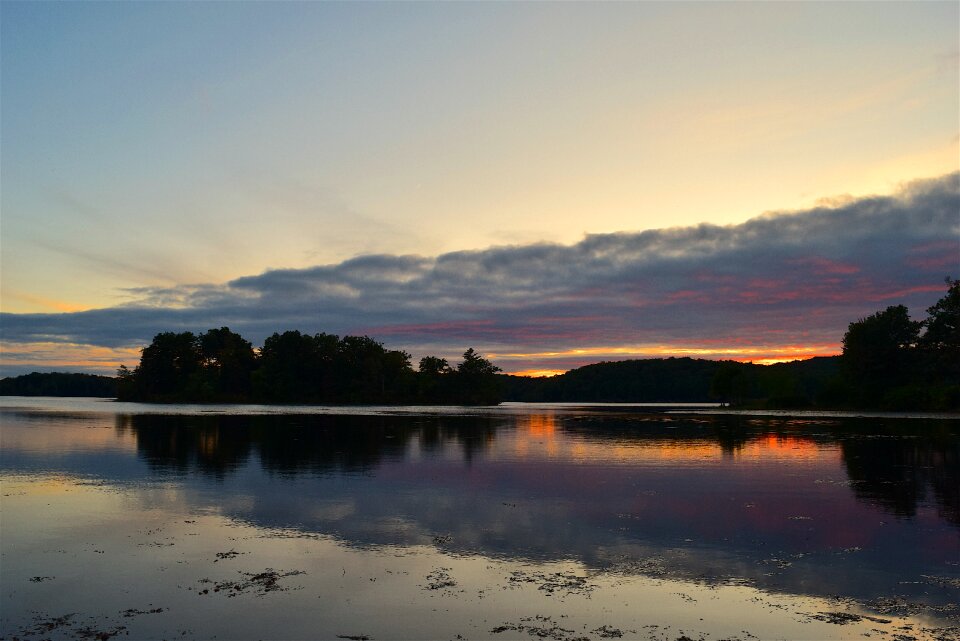 Forest water sky photo