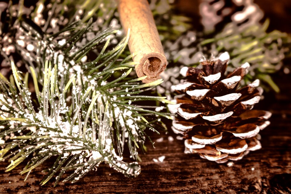 Advent cinnamon tap