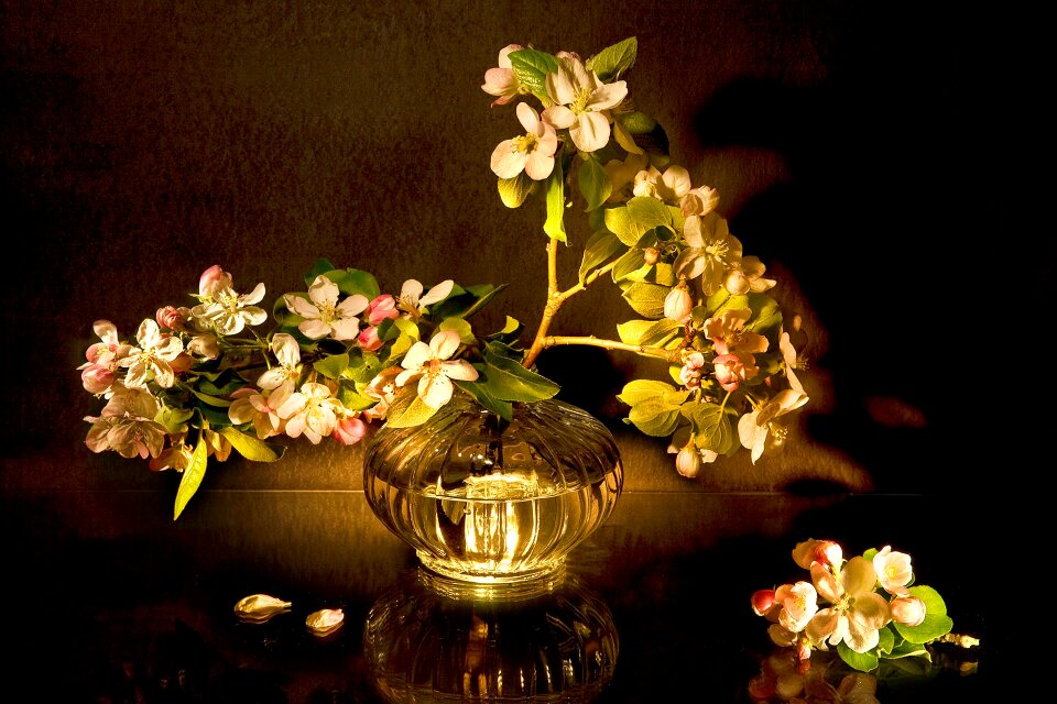 Still life flowers nature