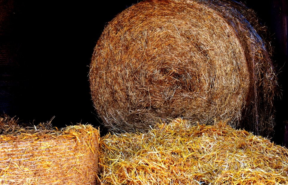 Straw role harvest harvested
