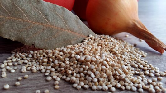 Onion laurel quinoa photo