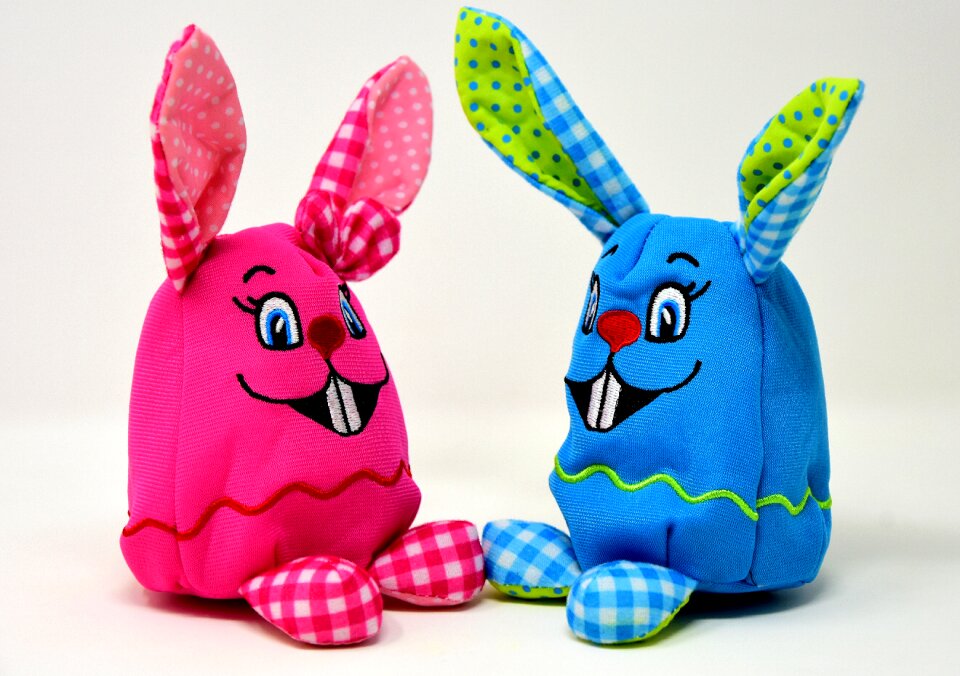 Color hare spring