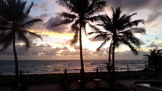 Seashore ocean tropical