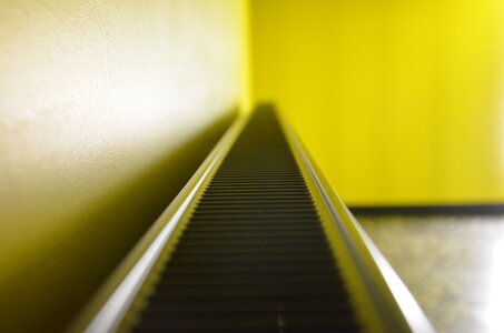 Neon yellow green