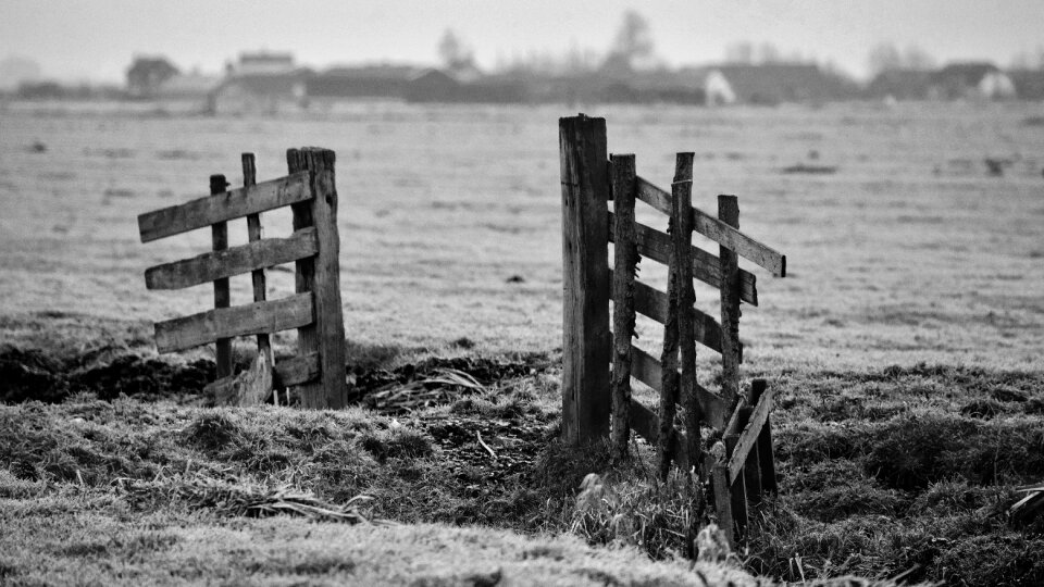 Fence wood grass