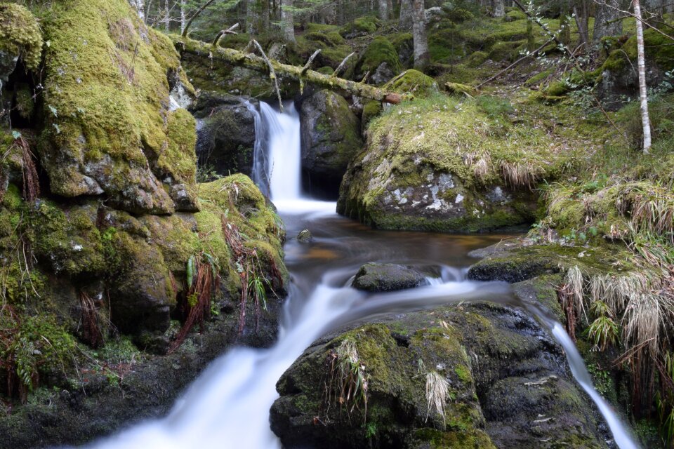 Flow river nature