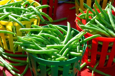 Vendor food fresh photo