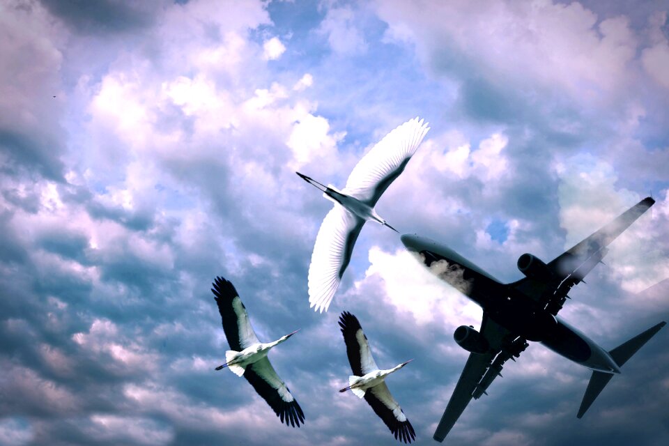 Aircraft wing outdoors