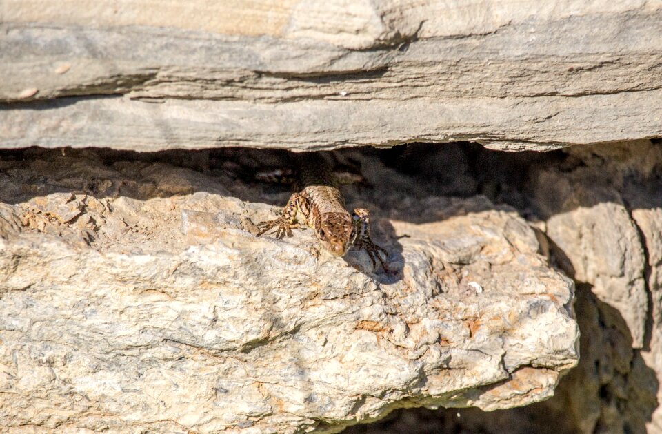 Rock stone rough