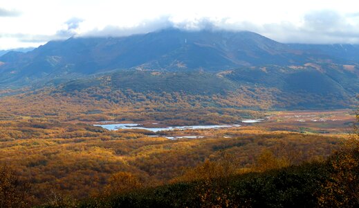Tundra swamp nature