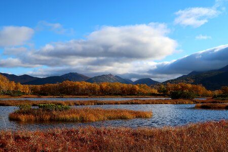 Tundra swamp nature photo