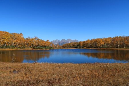 Tundra swamp nature