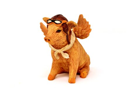 Funny cute angel