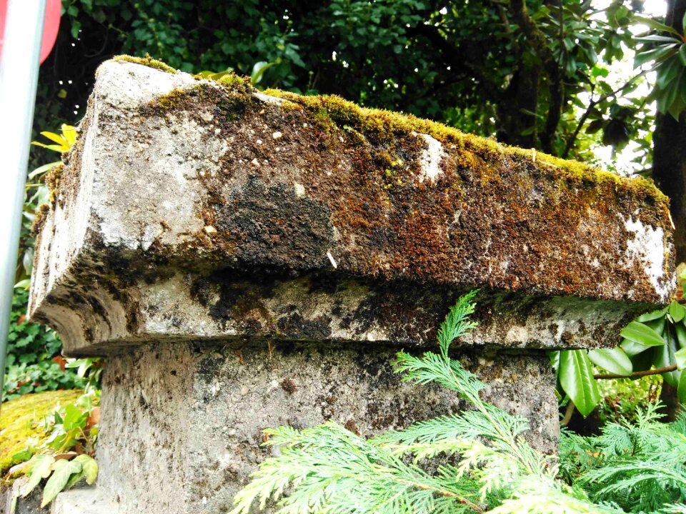 Stone excursion landscape