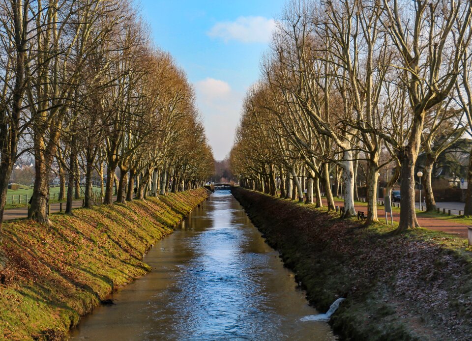 Landscape wood bach