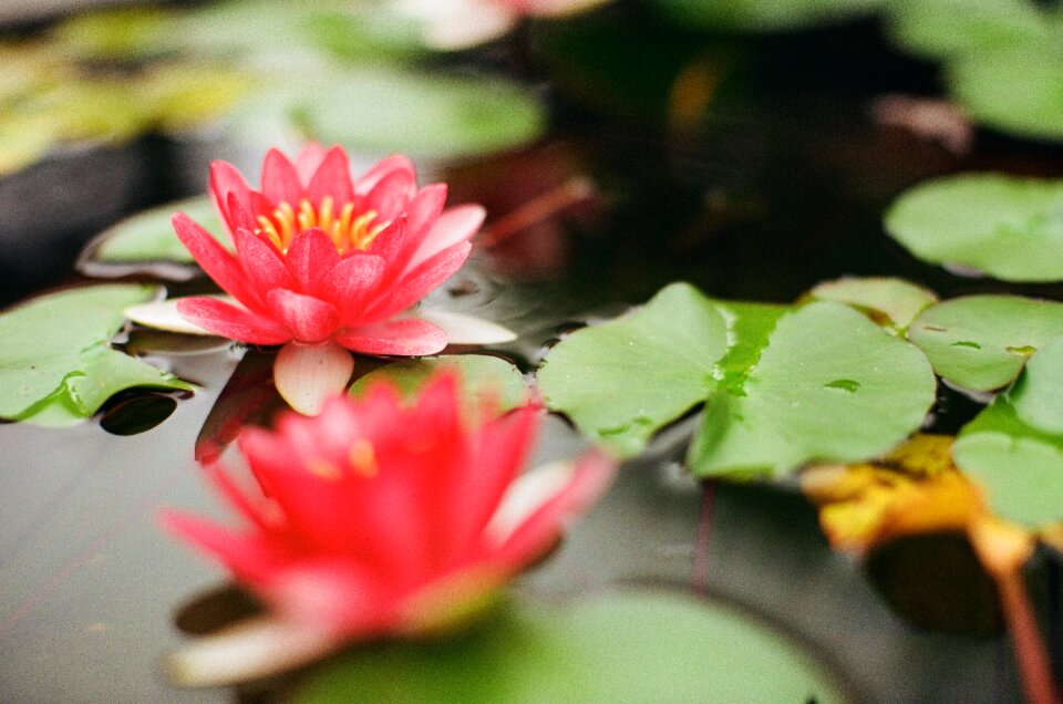 Nature water wet