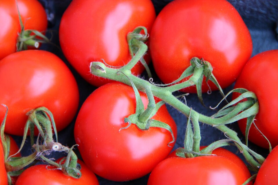 Vegetables food red