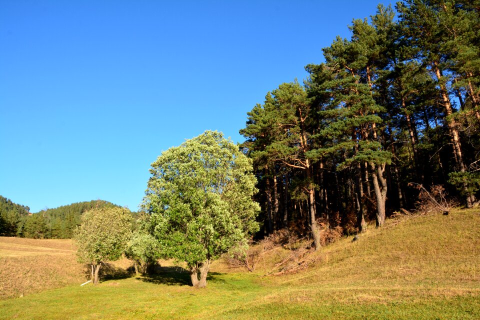 Nature green mountains