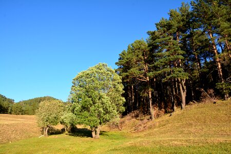 Nature green mountains