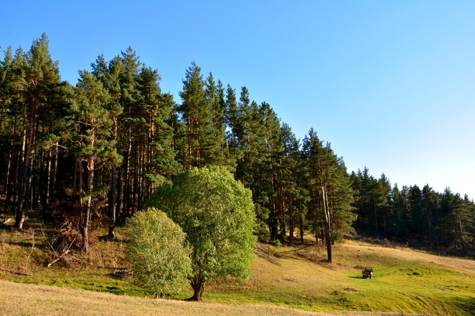 Nature green mountains