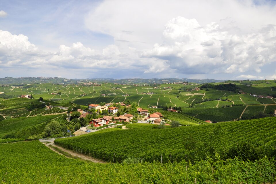 Hills langhe nature