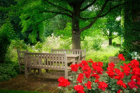 Tree park bank