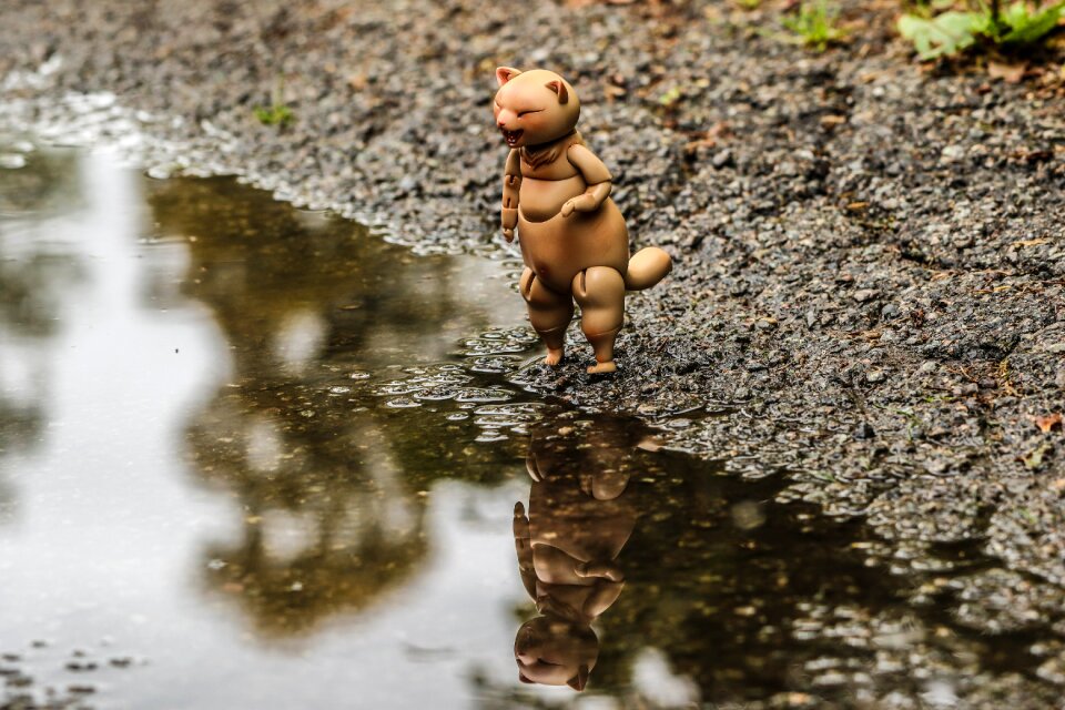 Puddle water reflection