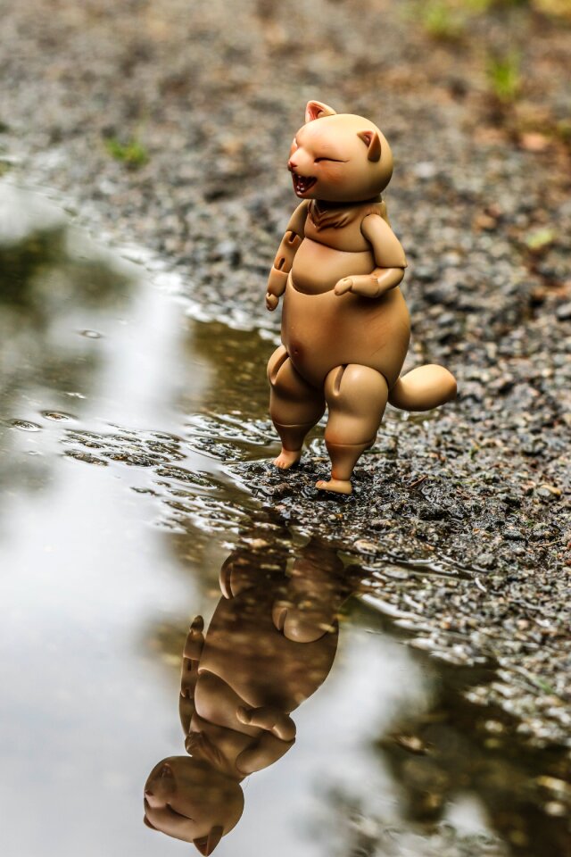 Puddle water reflection