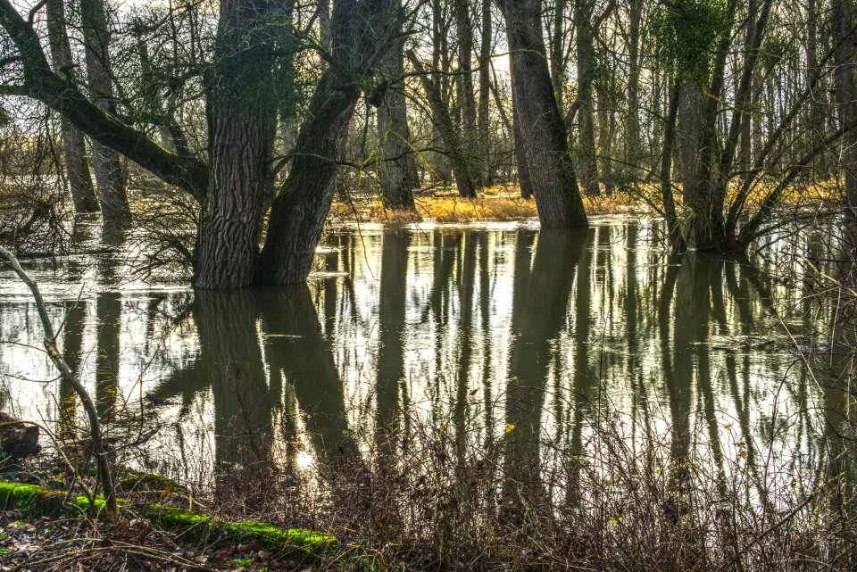 High water flood flooding