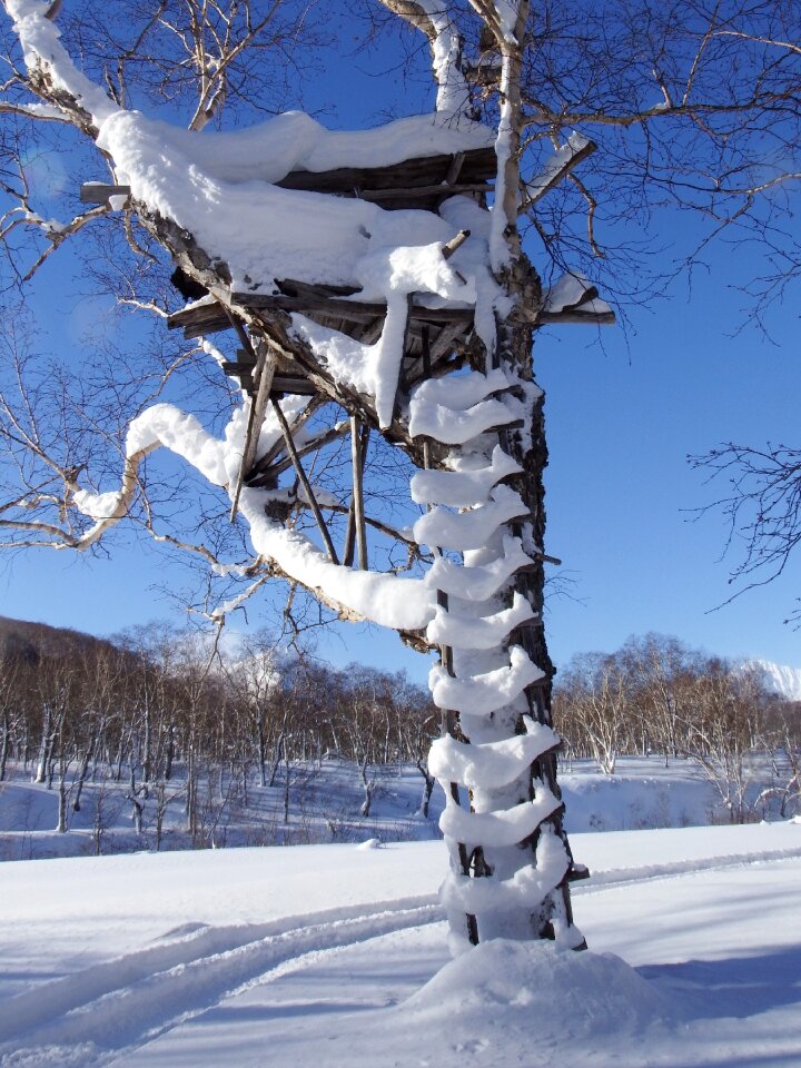 Stairs snow winter