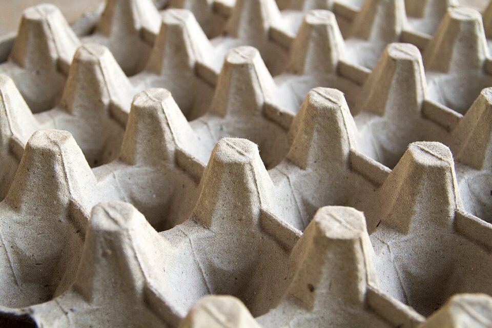 Panel paper egg egg-crate paper egg carton paper