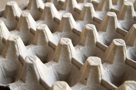Panel paper egg egg-crate paper egg carton paper
